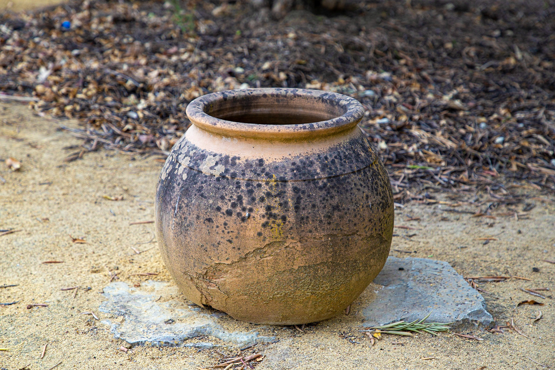 Hacienda de San Rafael