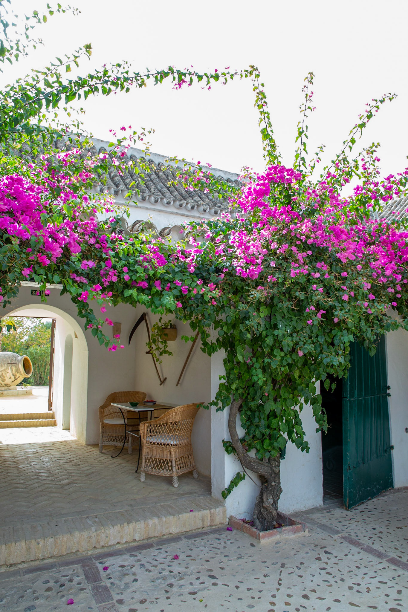 Hacienda de San Rafael