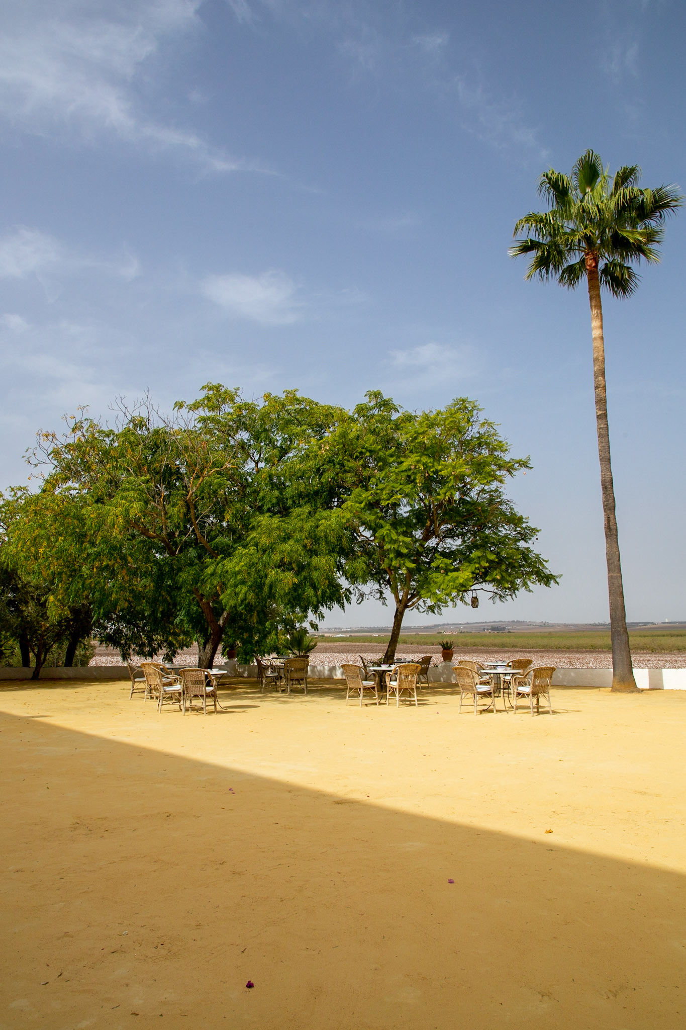 Las Cabezas de San Juan