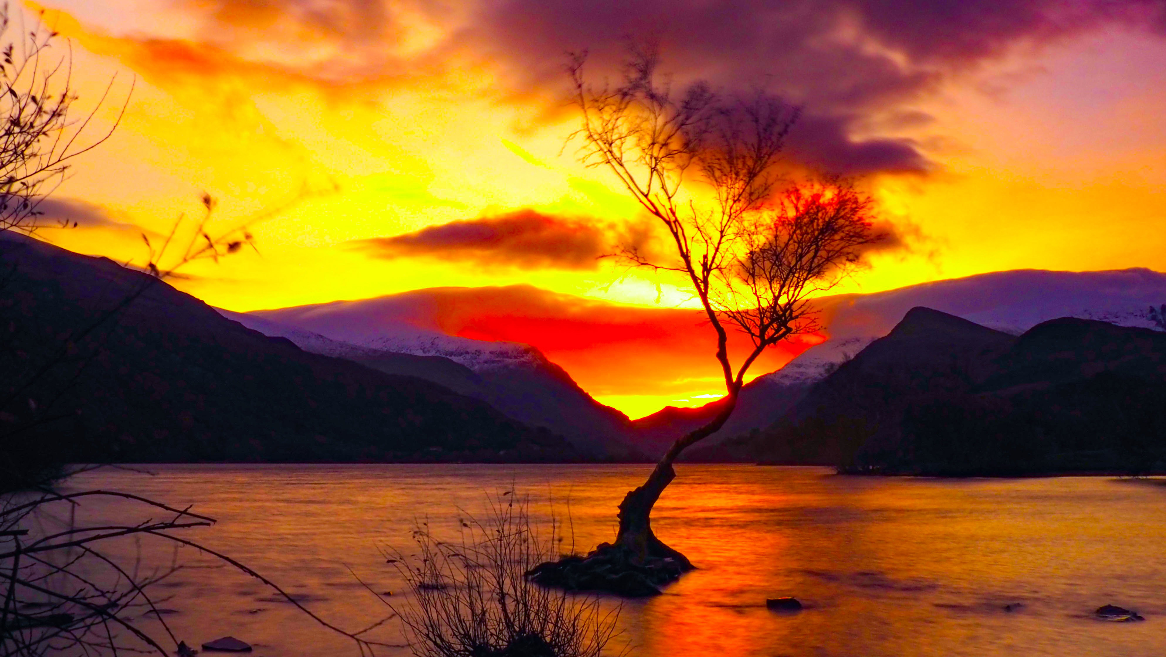 The Lone Tree, Lyn Padarn, Llanberis