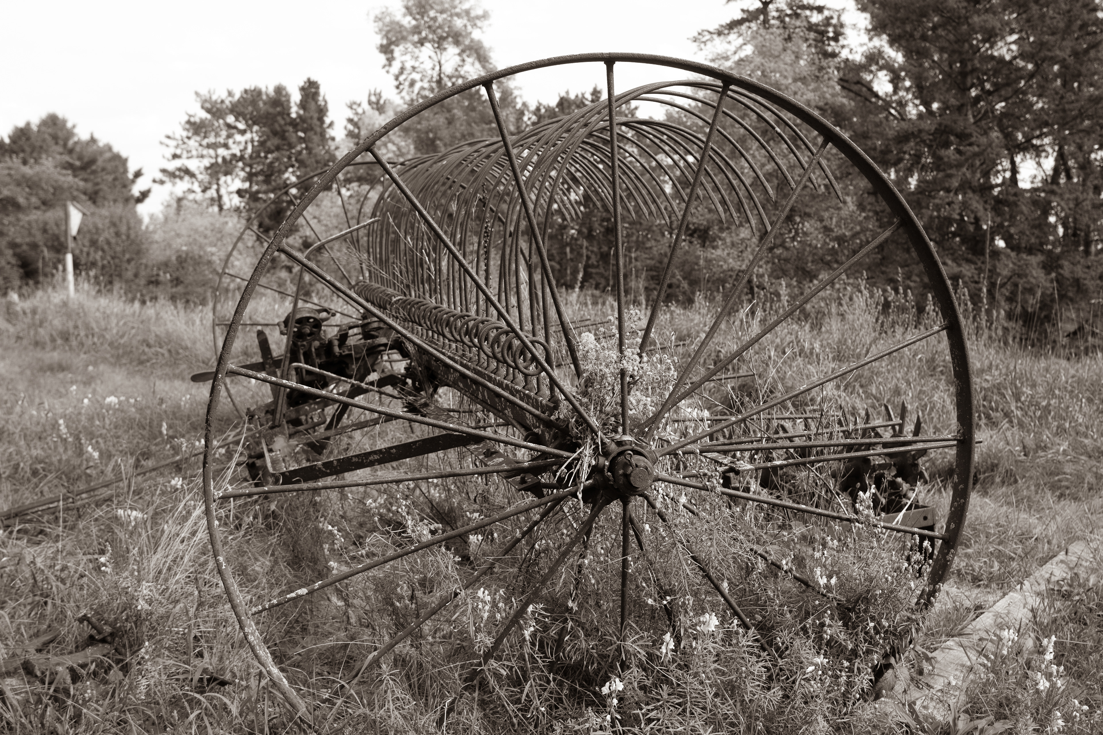 Old farm equipment
