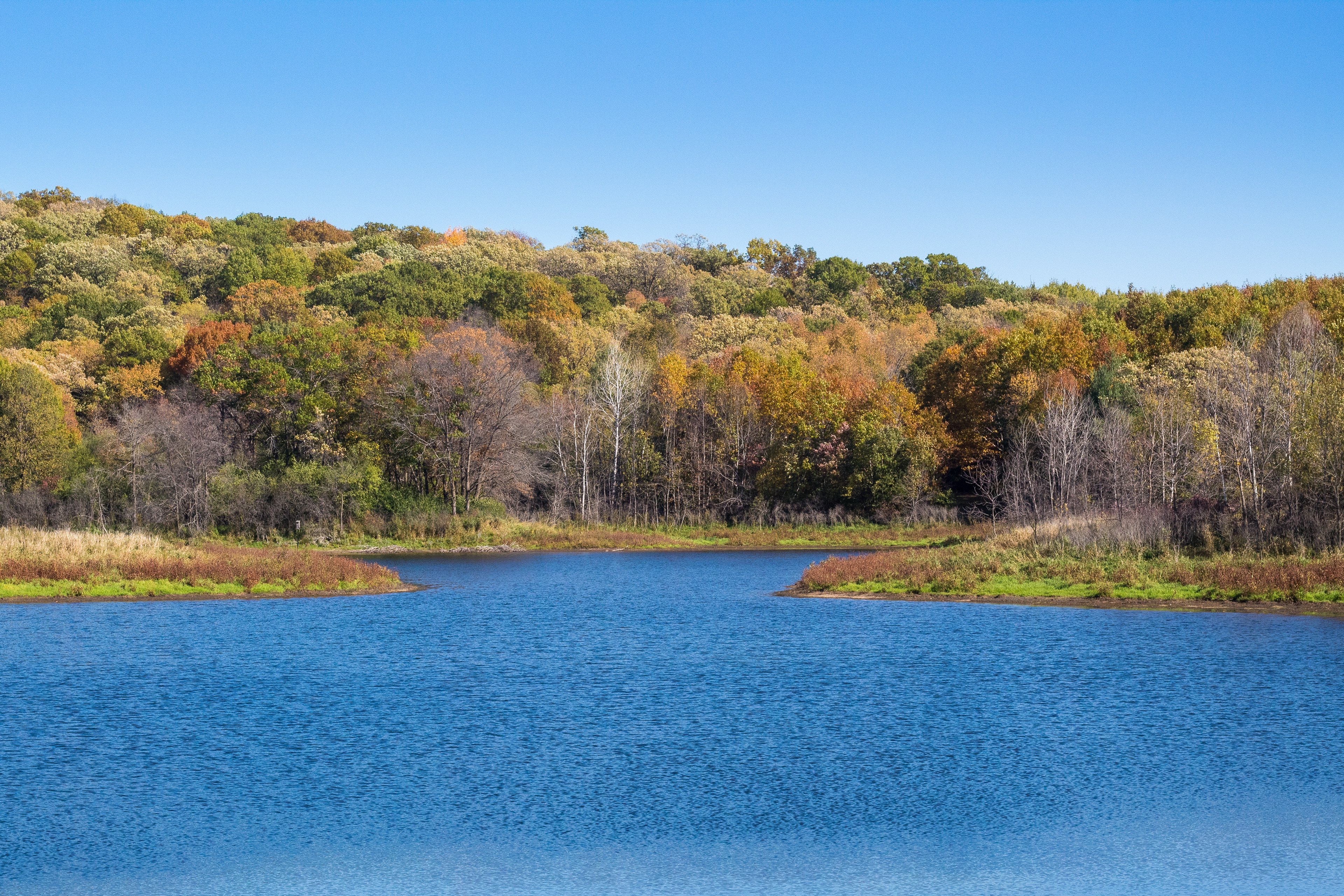 View across a lake of forest scenery.