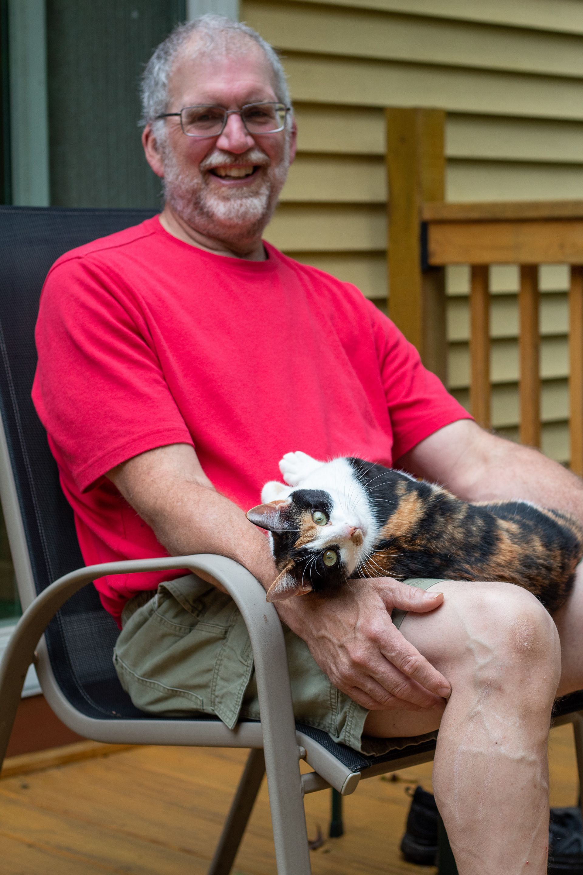 Calico cat sitting on man's lap, looking directly into camera.