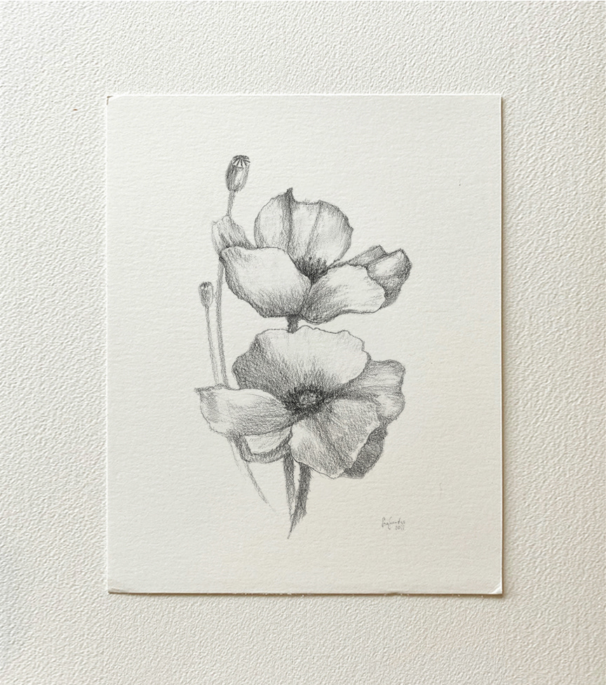 "Flower II" 2022 - pencil on thick paper