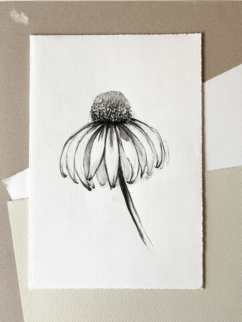 "Flower No 2" 2019 - charcoal on thick paper