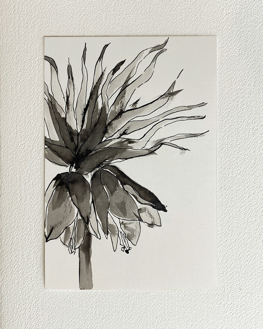 "Flori I" 2022 - black ink on textured paper