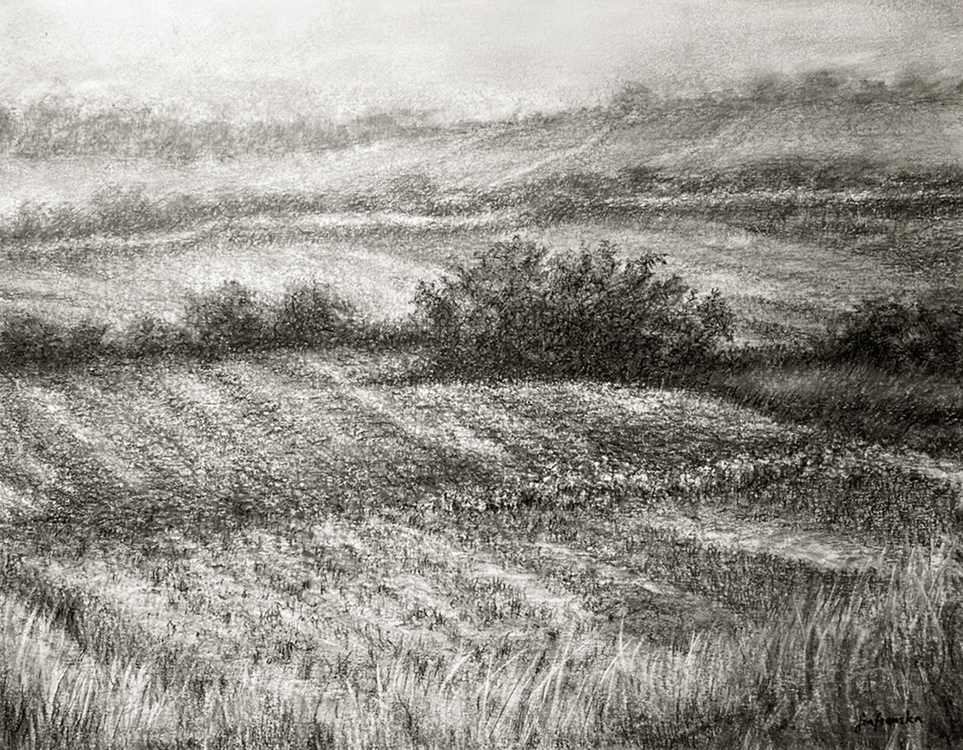 'Horizon' charcoal on paper _ 2022 _ 43x33 cm