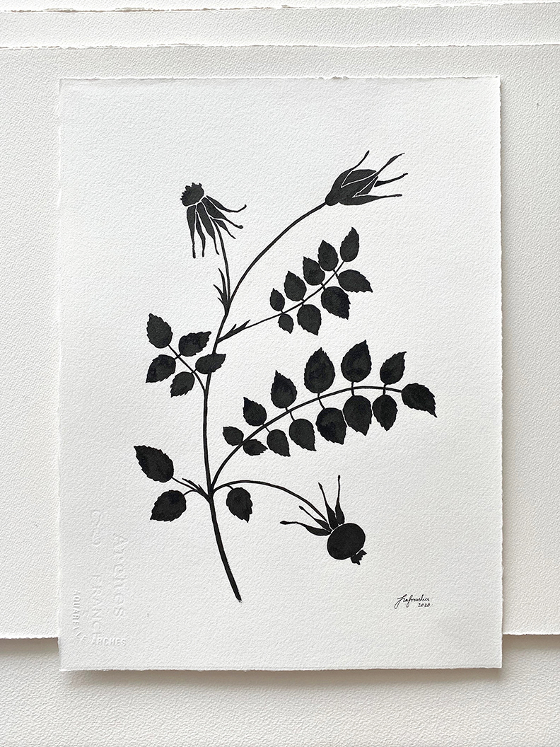 "Rose" 2020 - ink on rag watercolor paper