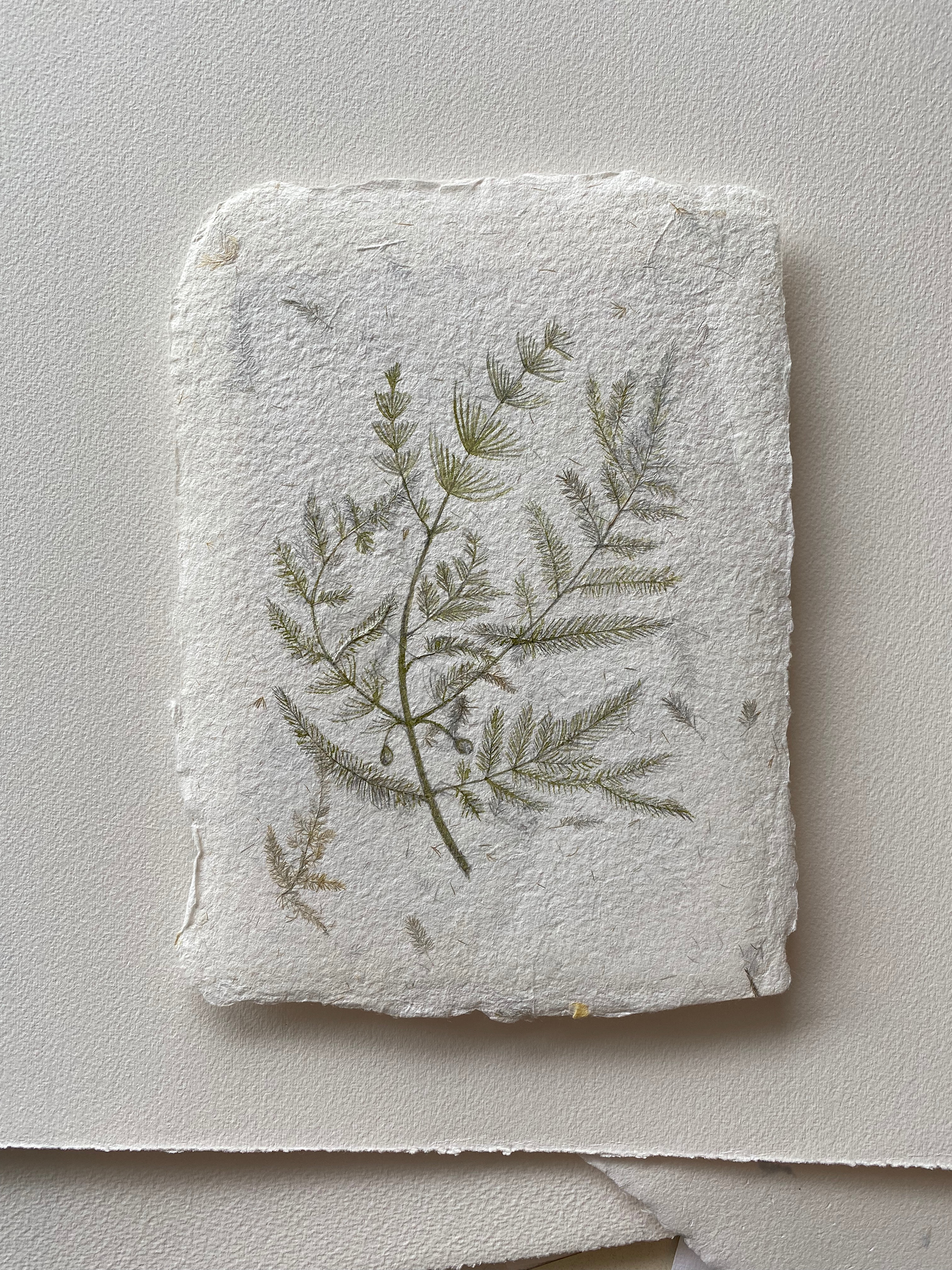 "Fern" 2021 - watercolor on handmade paper