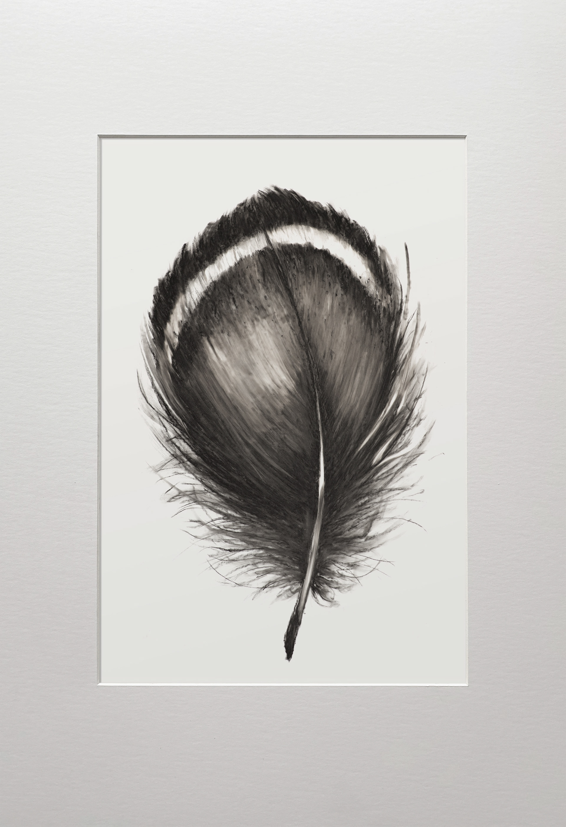 charcoal on white foil _ 2023 _ 21x29,7 cm