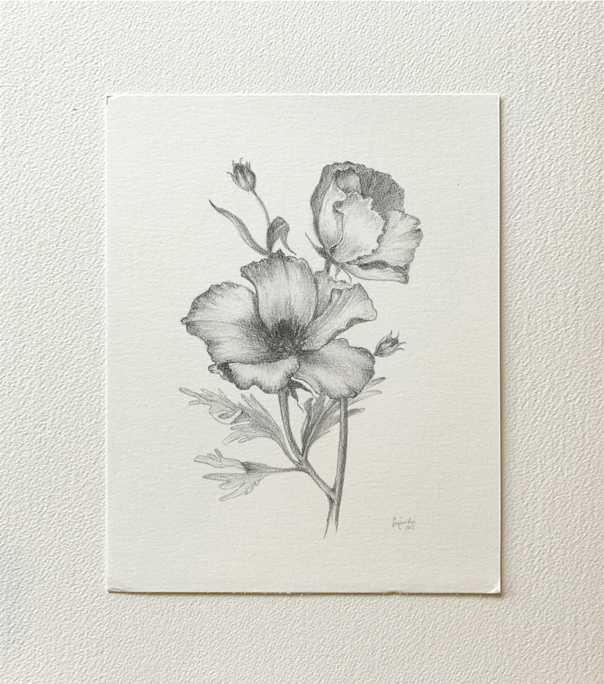 "Flower IV" 2022 - pencil on thick paper