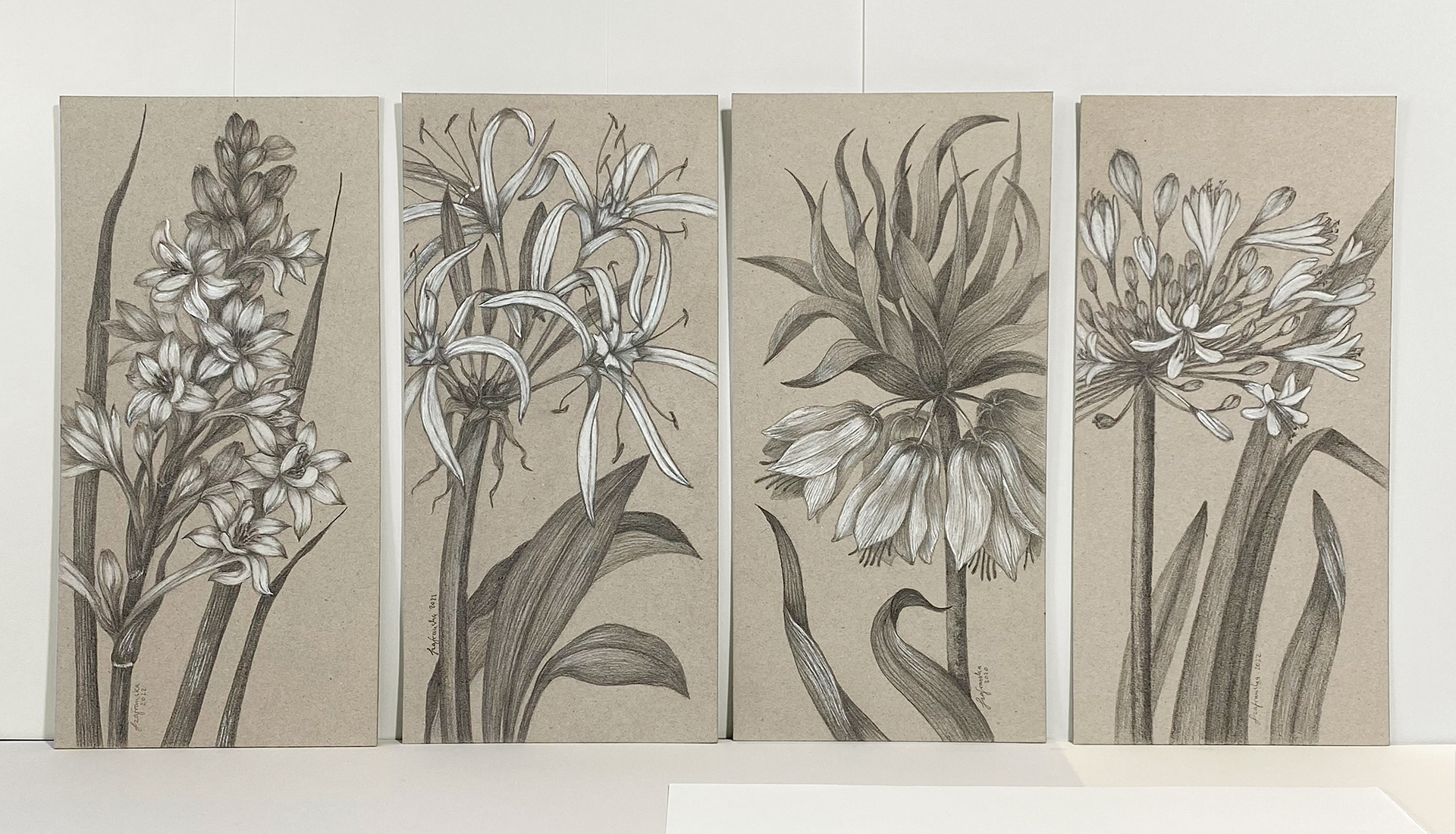 'Lily family' pencil and chalc on cardboard _ 2022 _ 15,7x32 cm