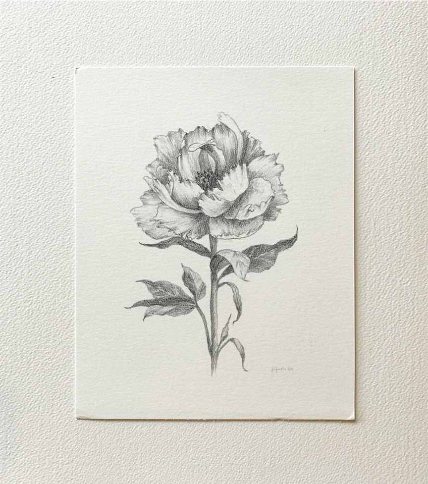 "Flower VI" 2022 - pencil on thick paper