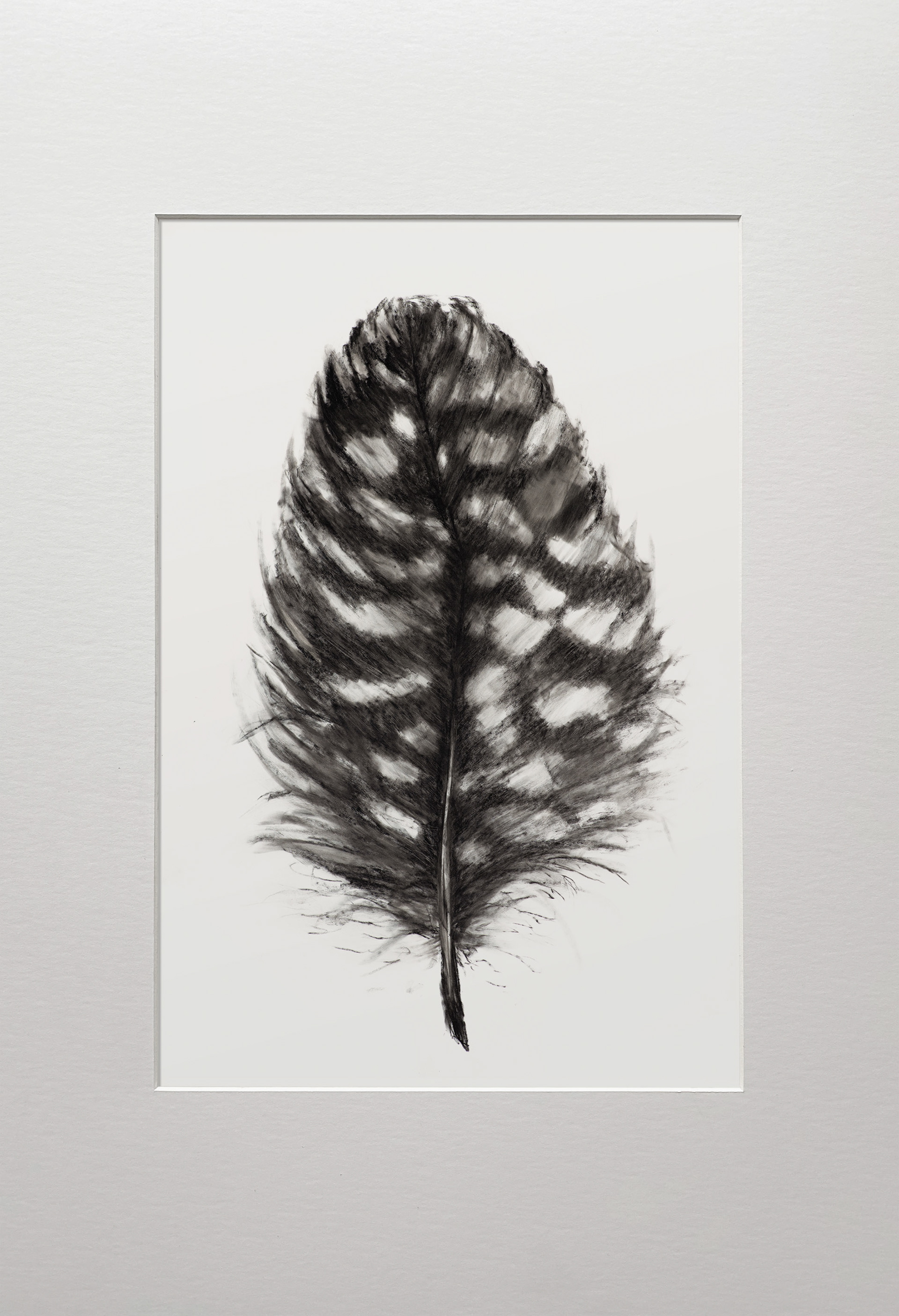 charcoal on white foil _ 2023 _ 21x29,7 cm