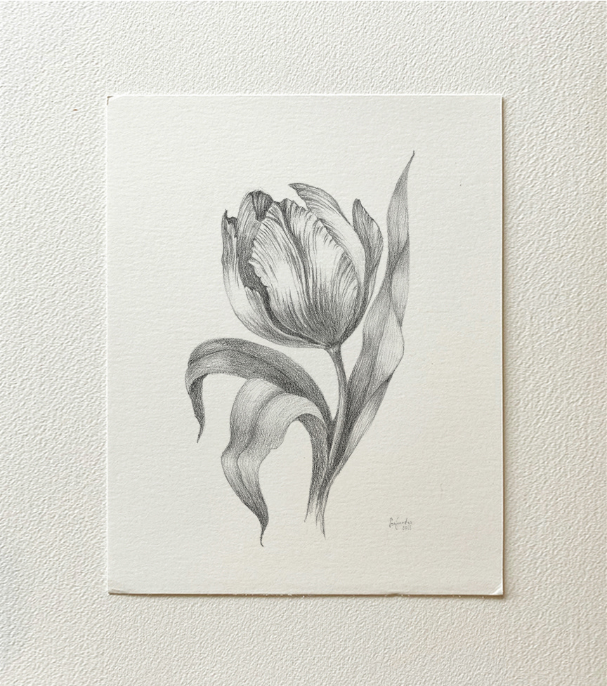 "Flower III" 2022 - pencil on thick paper