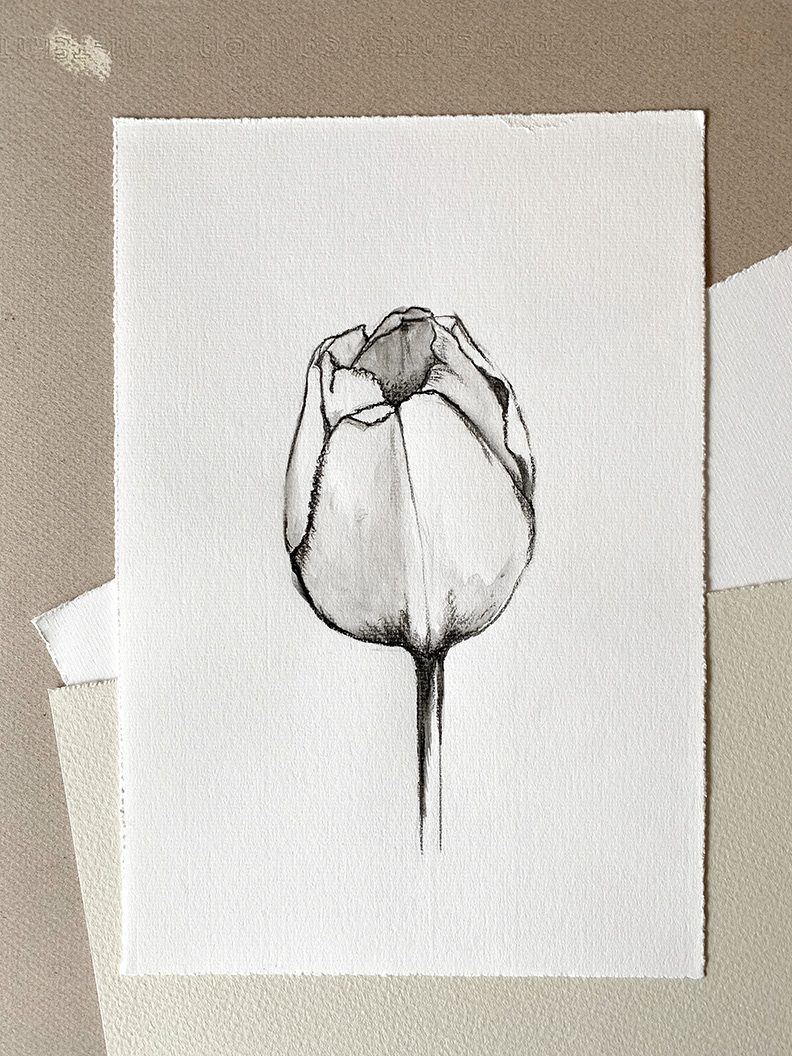 "Flower No 1" 2019 - charcoal on thick paper