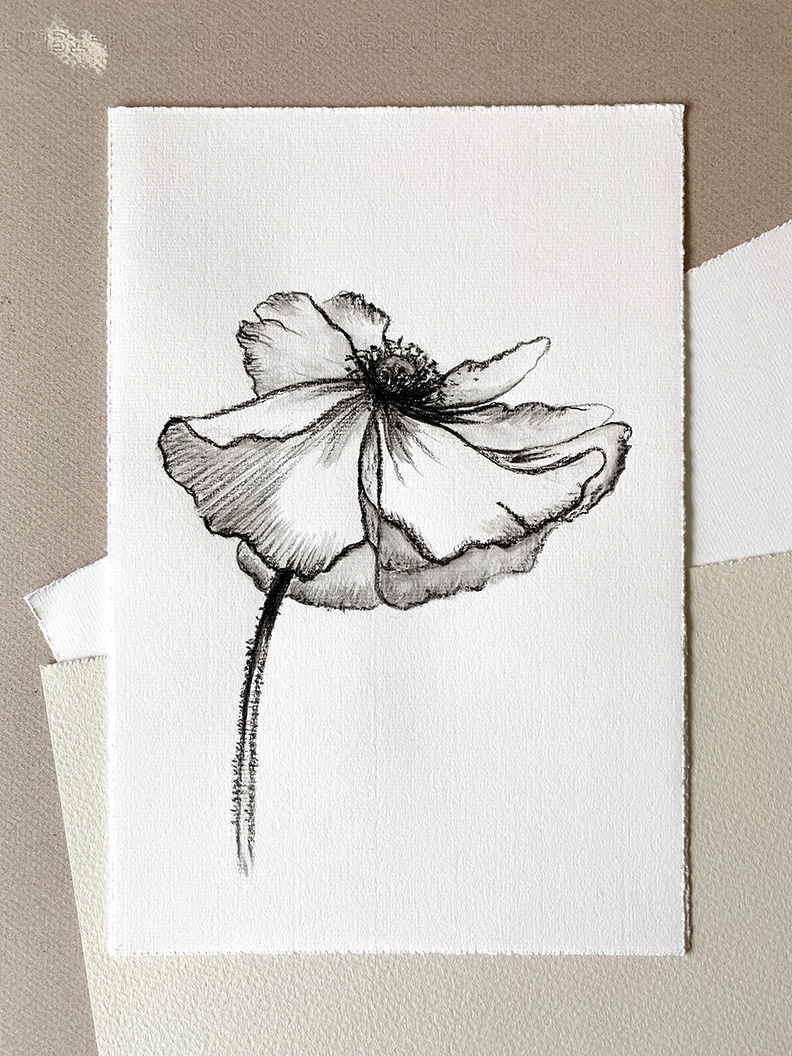 "Flower No 3" 2019 - charcoal on thick paper