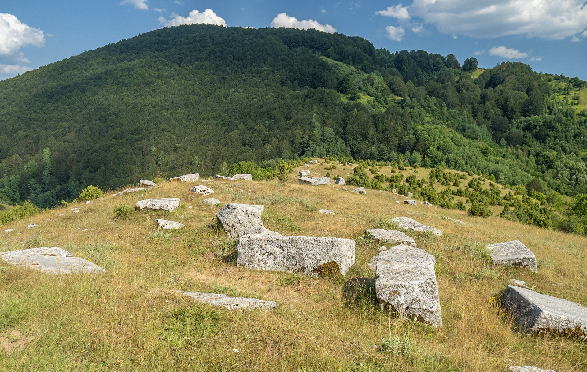 Stećci at Dolovi, near Umoljani