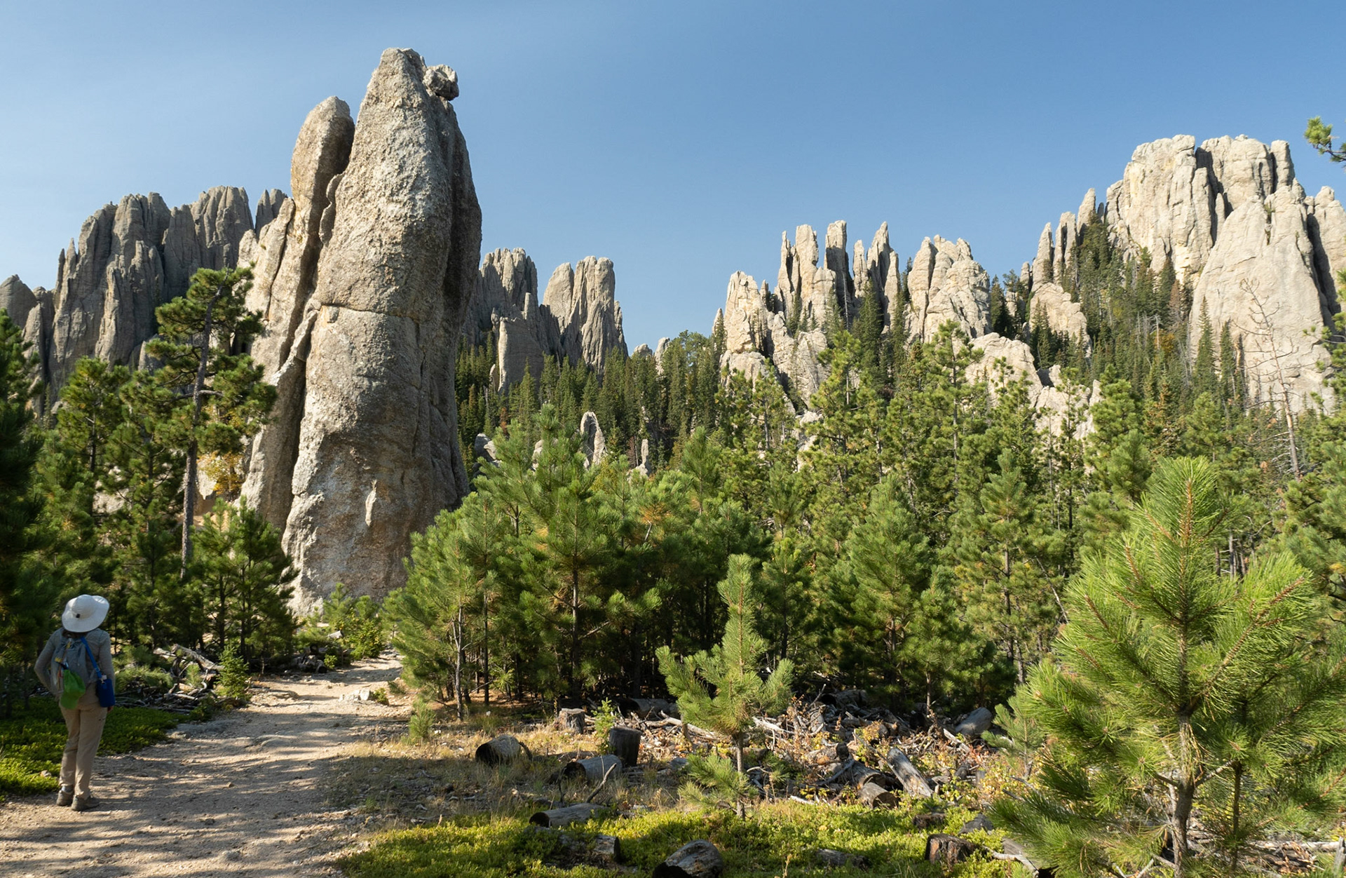 Hiking near Cathedral Spires
