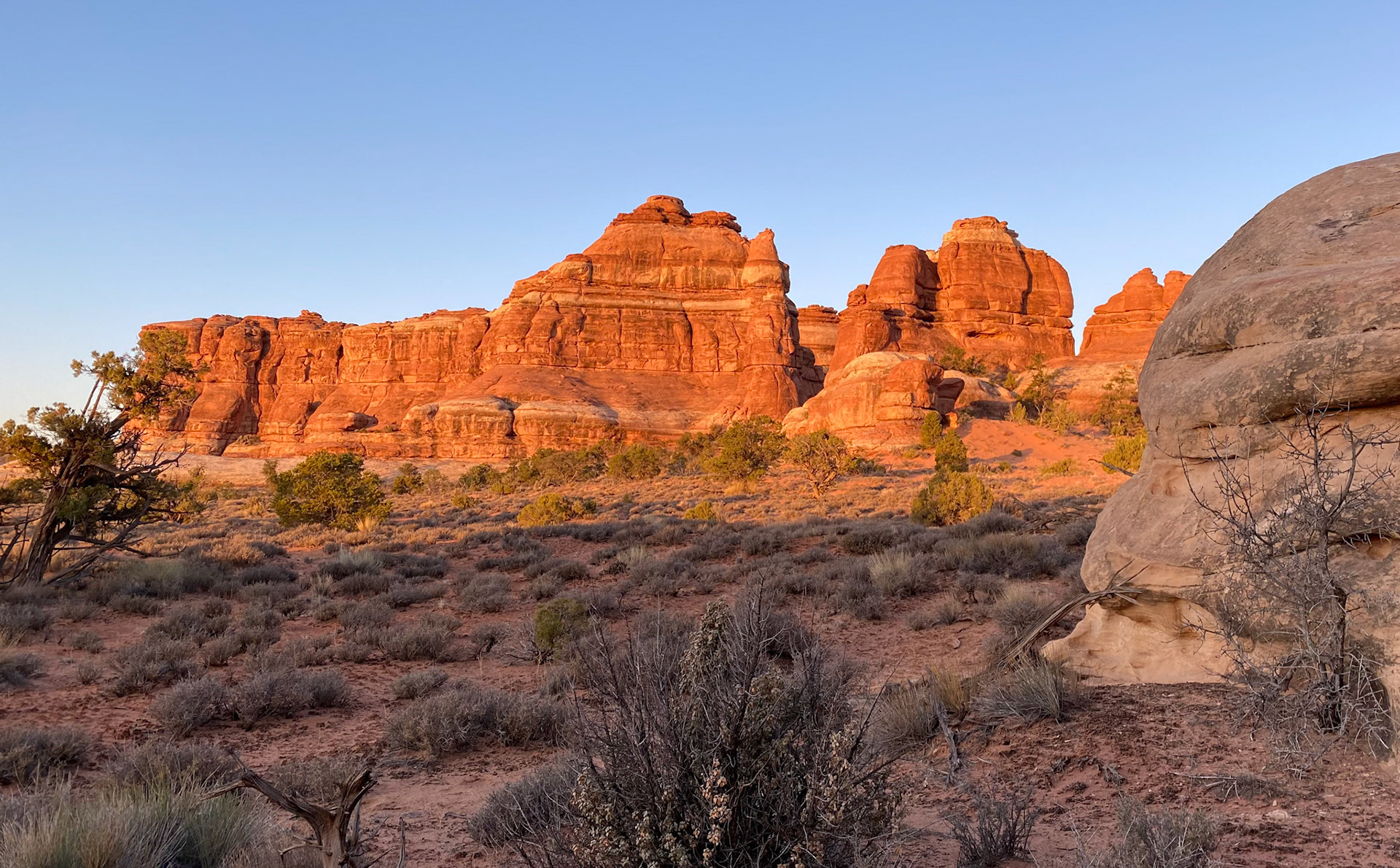 Day 6: Morning light on the Cedar Mesa sandstone