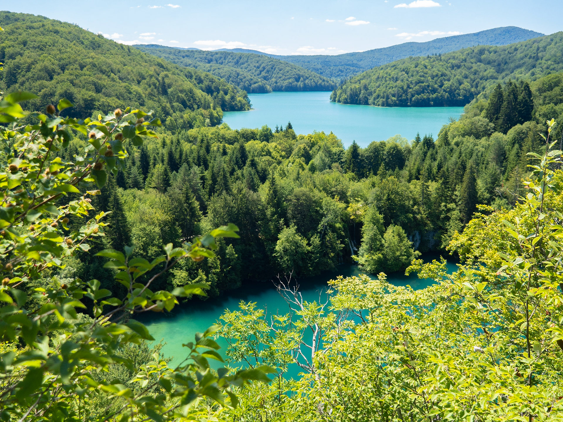 Ciginovac and Prošćansko Lakes