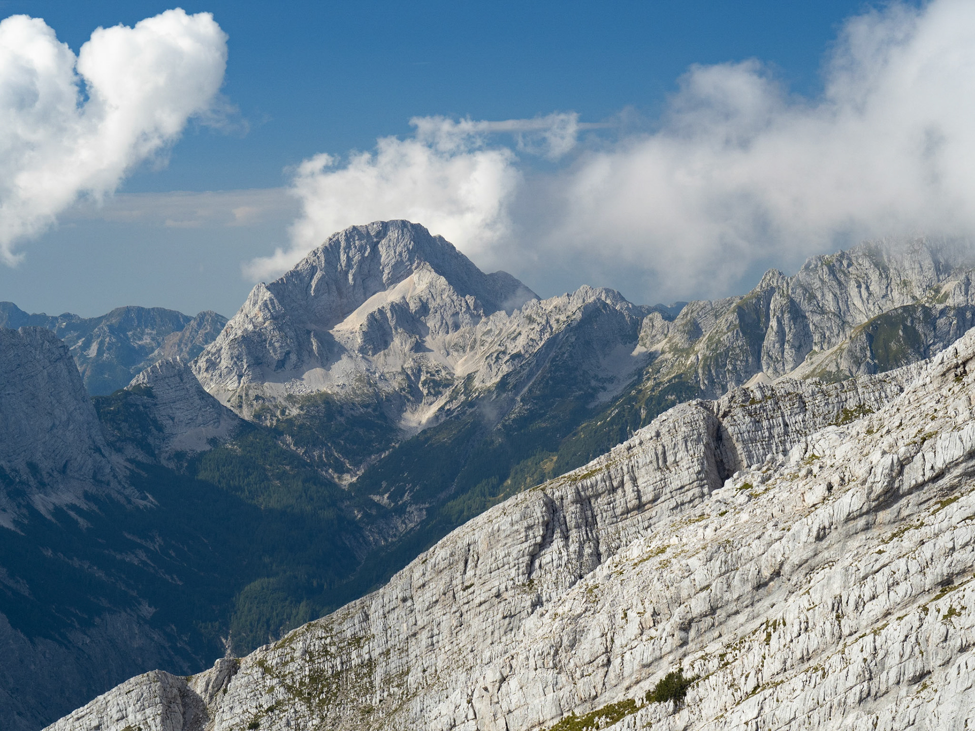 Grintavec