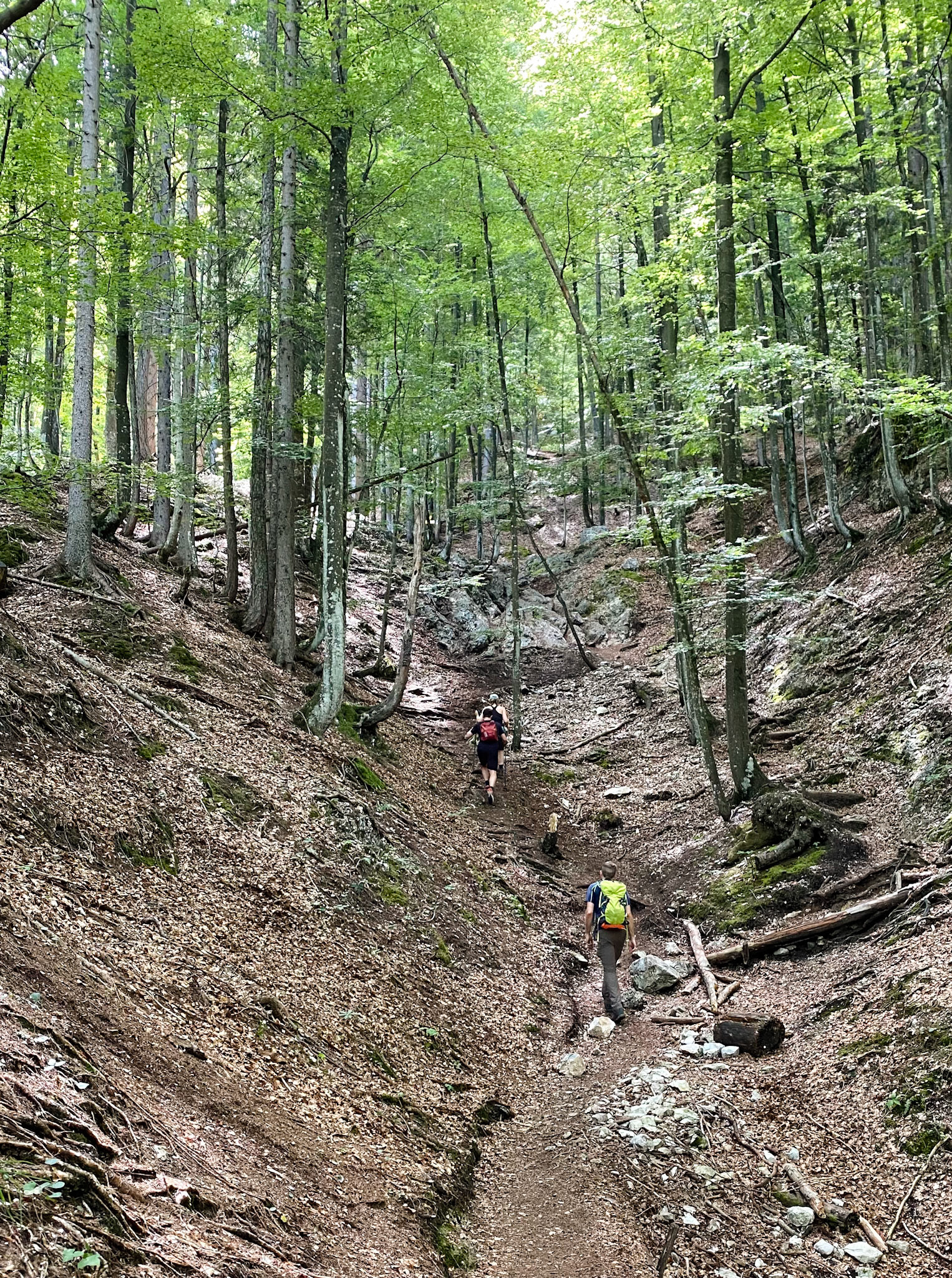 Martuljek Waterfall Trail