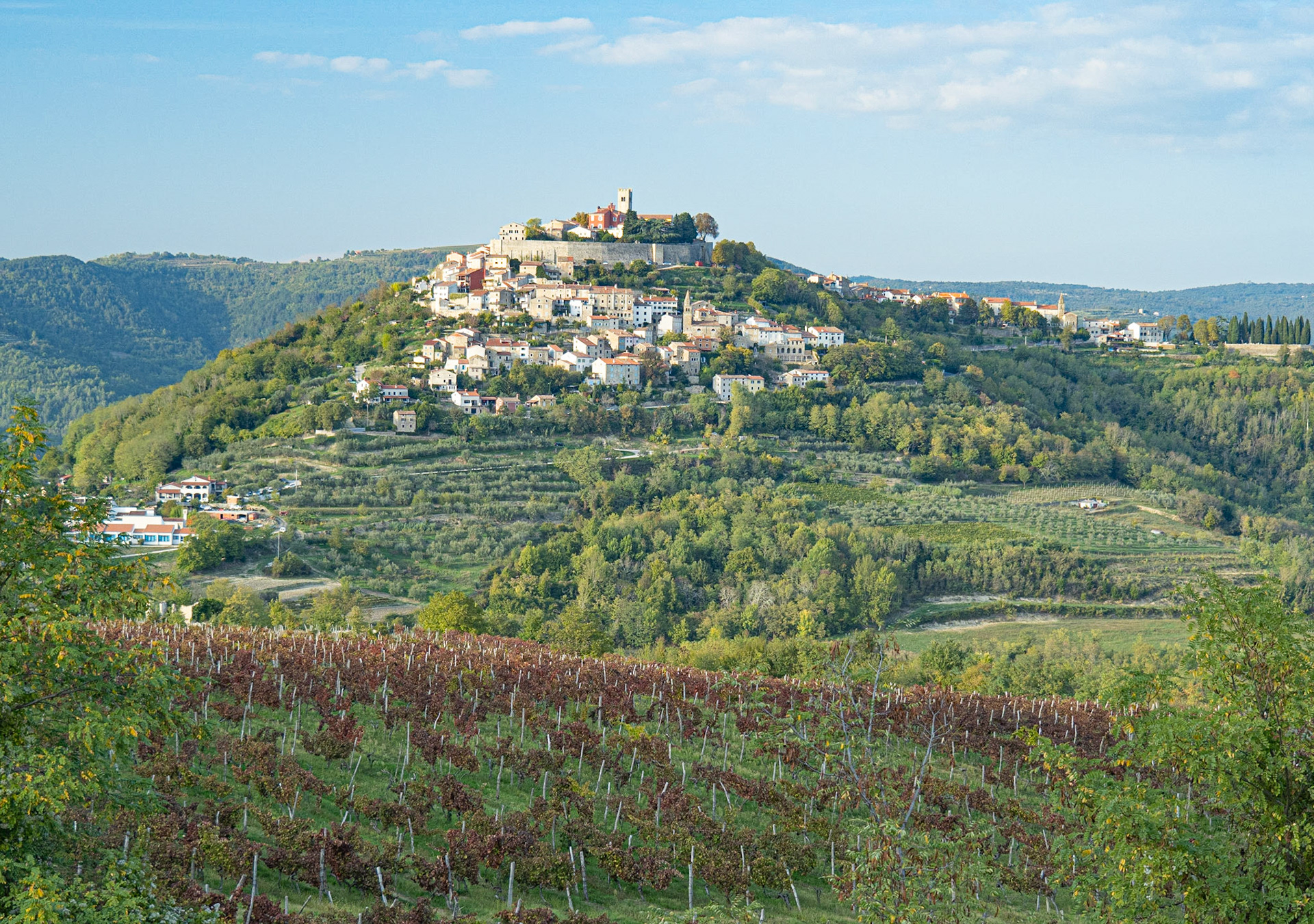 Hilltop Town of Motovun