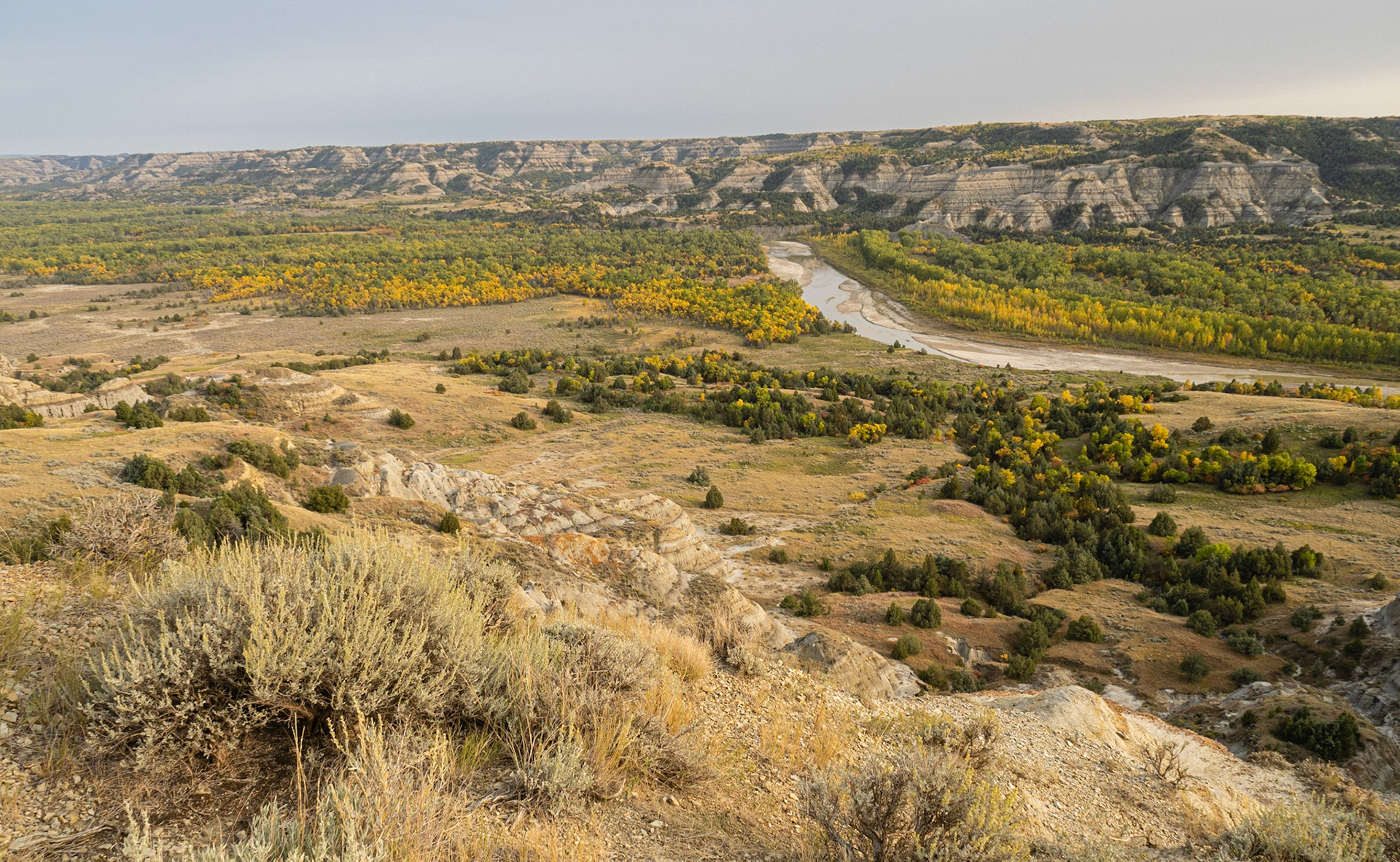 Oxbow Overlook, Theodore Roosevelt NP