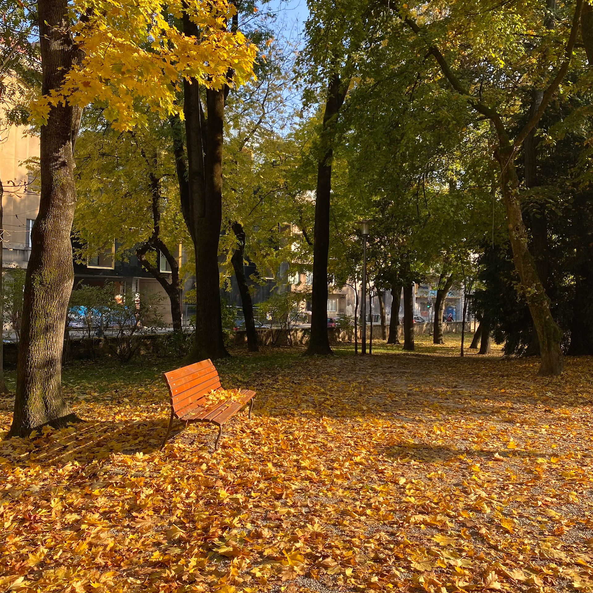 Fall in Park Ribnjak