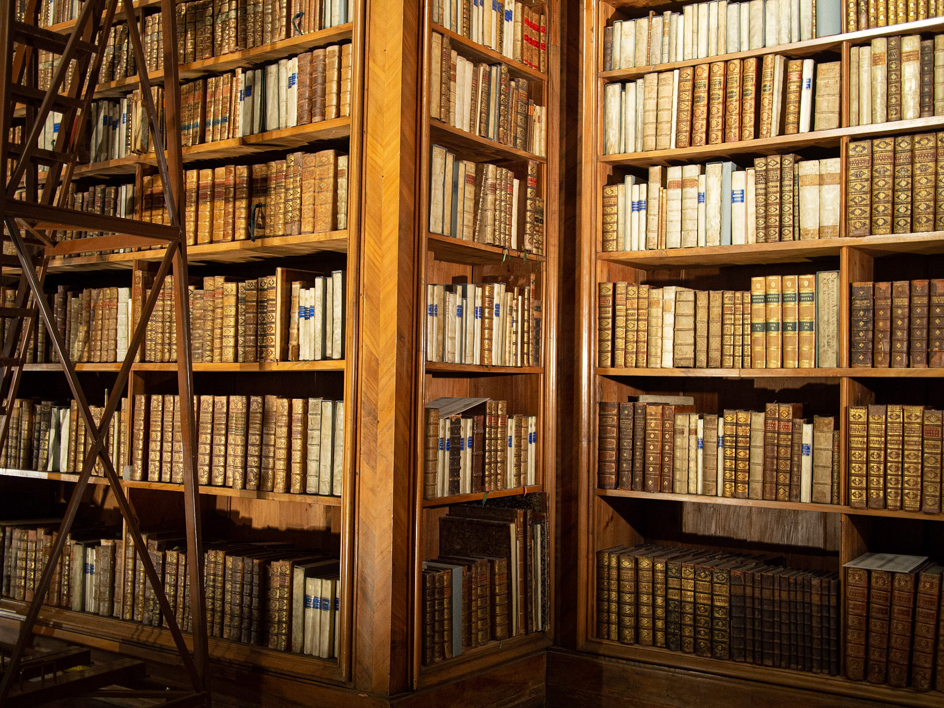 State Hall, Shelves &amp; Books