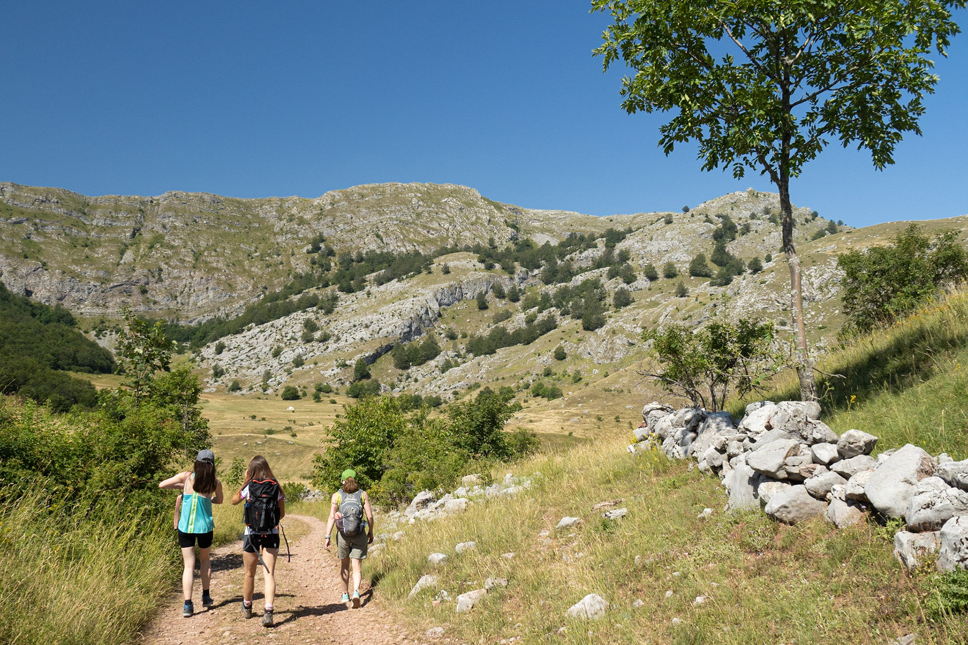 On the Trail
