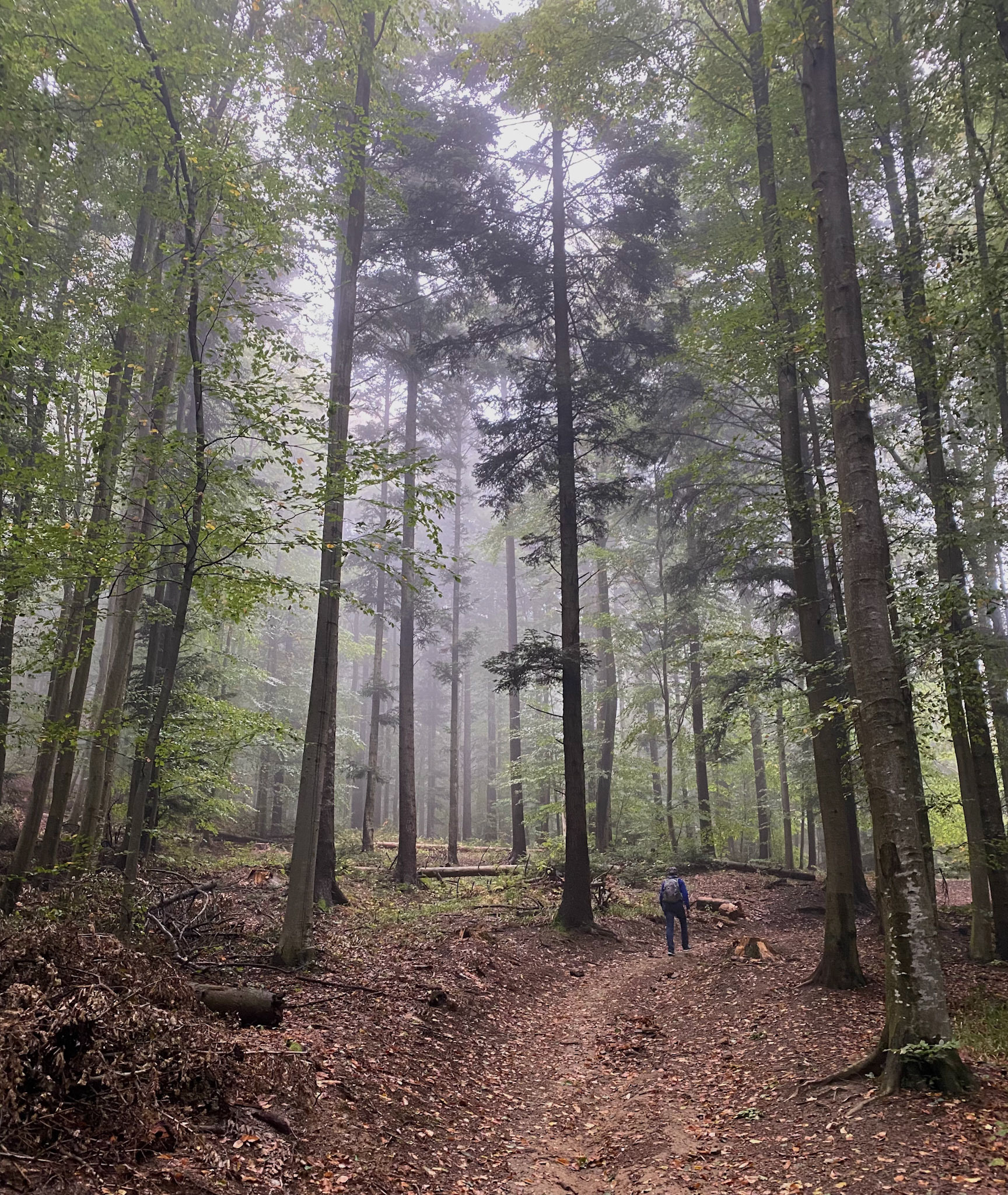Hiking Sljeme mountain