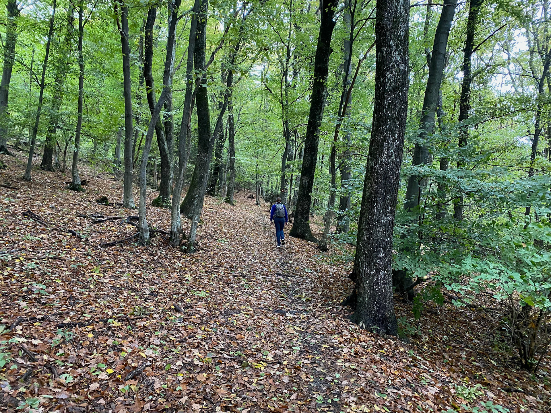 Hiking Sljeme mountain