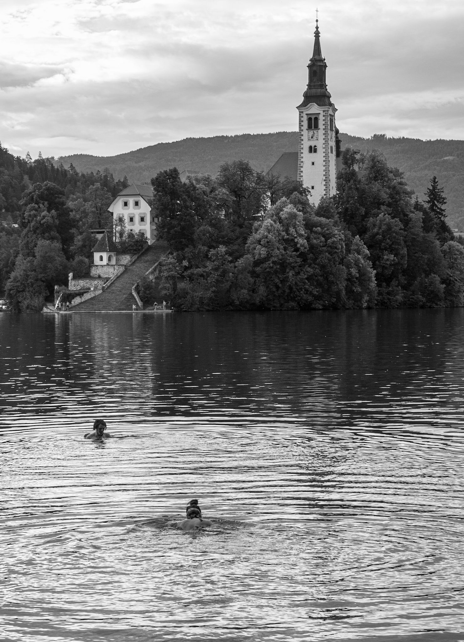Lake Bled Swimmers