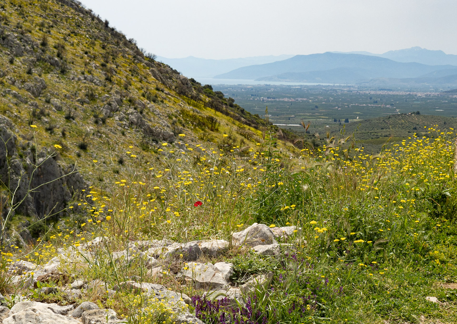 View South and the Gulf of Corinth, Mycenae