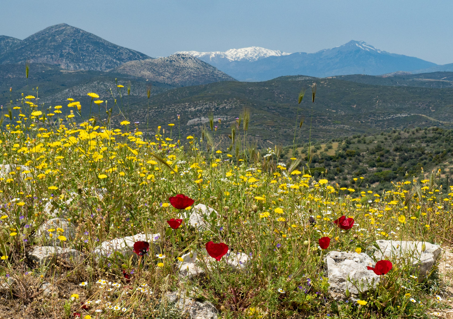 Flowers & Mountains, Mycenae