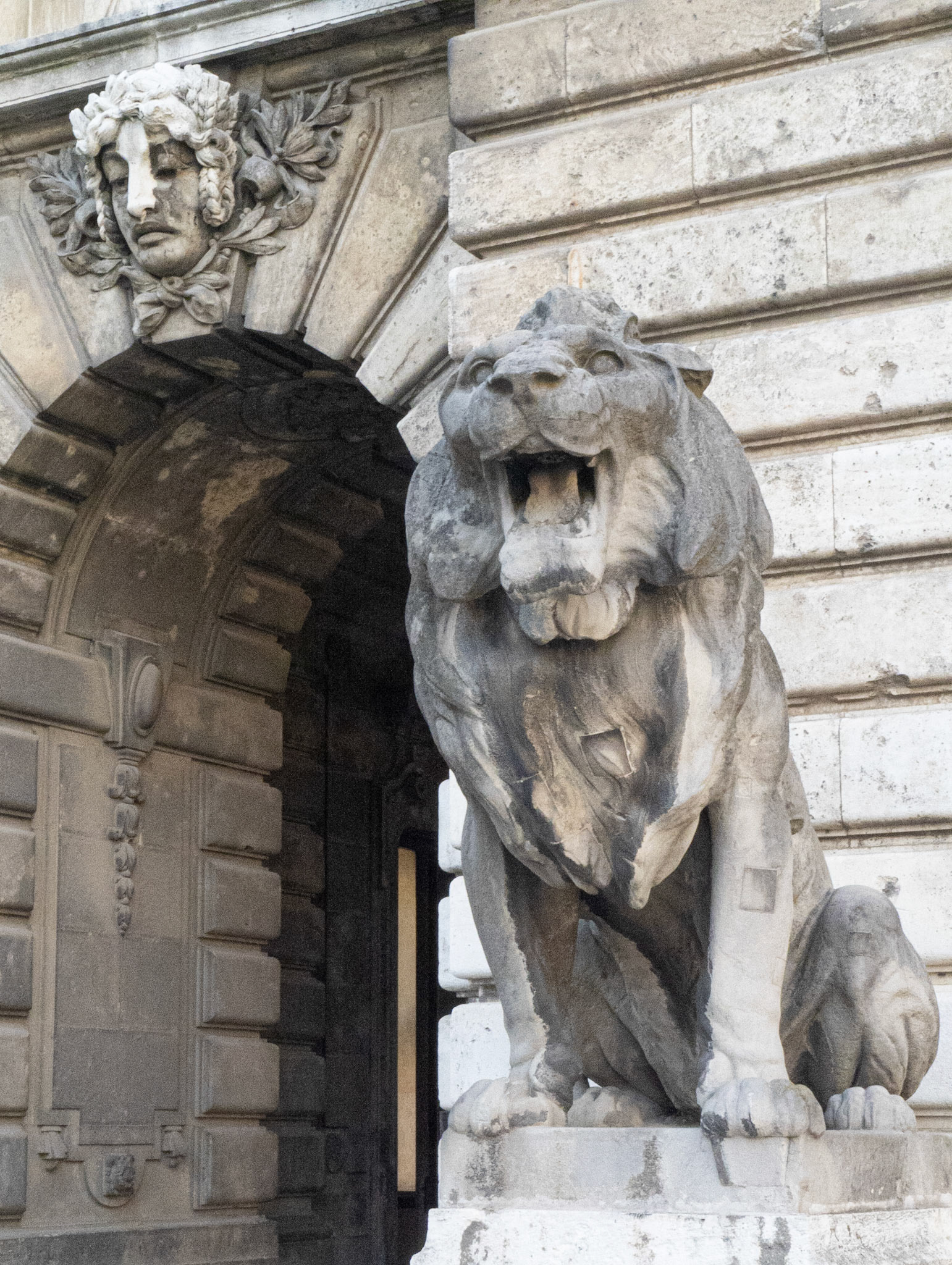 Buda Castle, Lion in the Lions Court