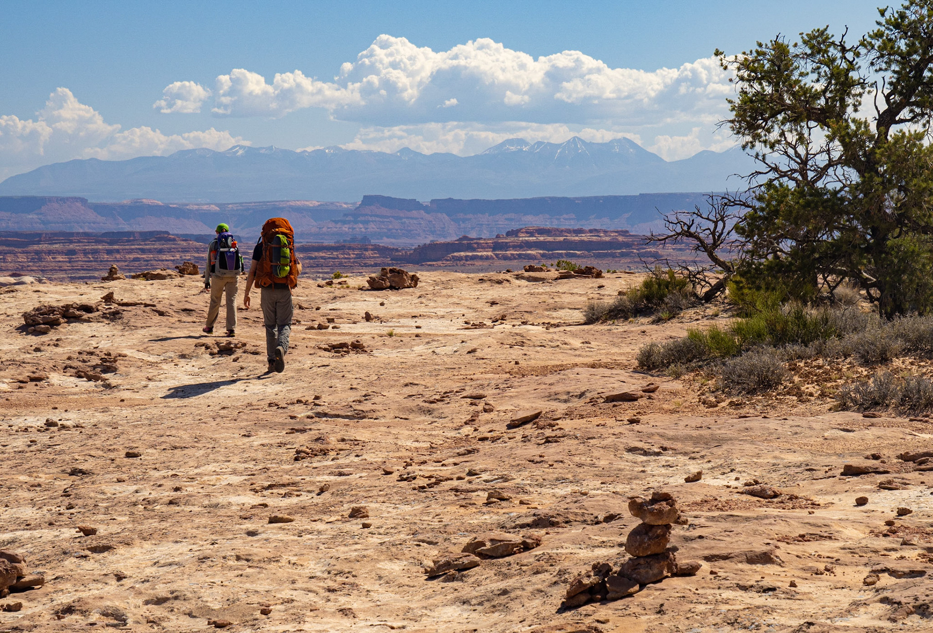 Heading to Shot Canyon, with the La Sals in the distance