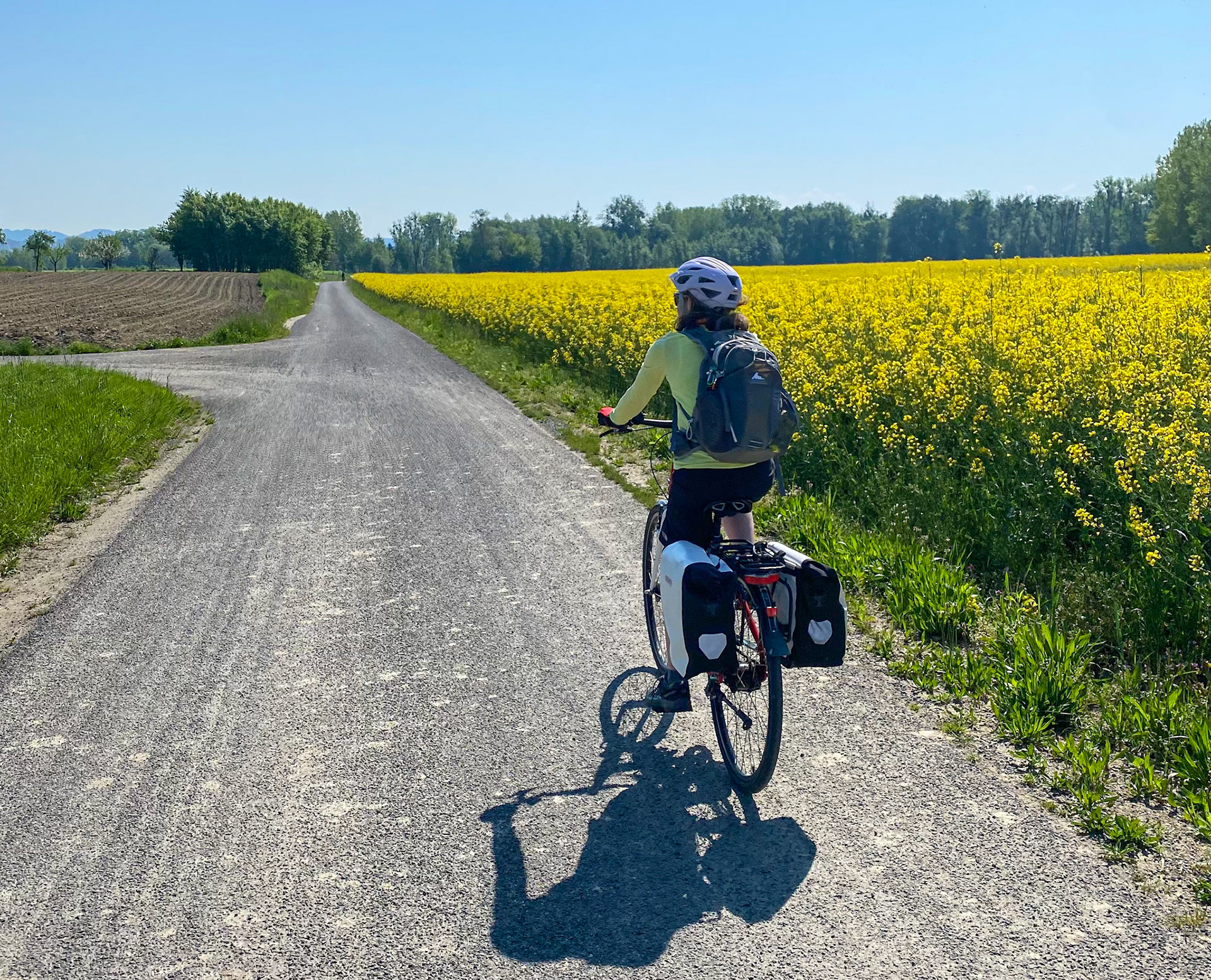 Day 3, Farmland Ride