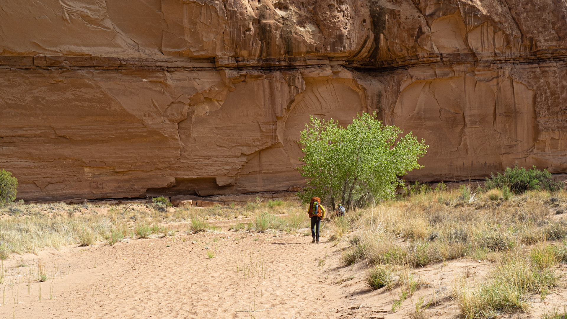 Day 4: Approaching the Harvesst Scene pictographs