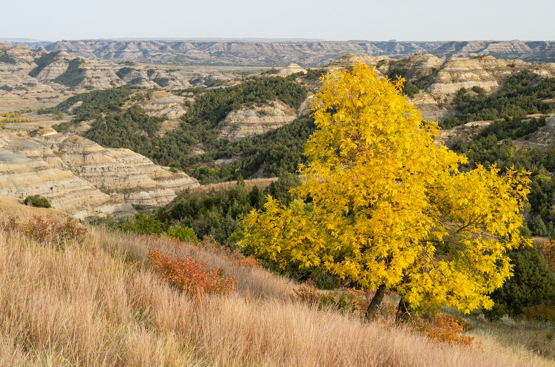 Caprock Coulee Trail, Theodore Roosevelt NP