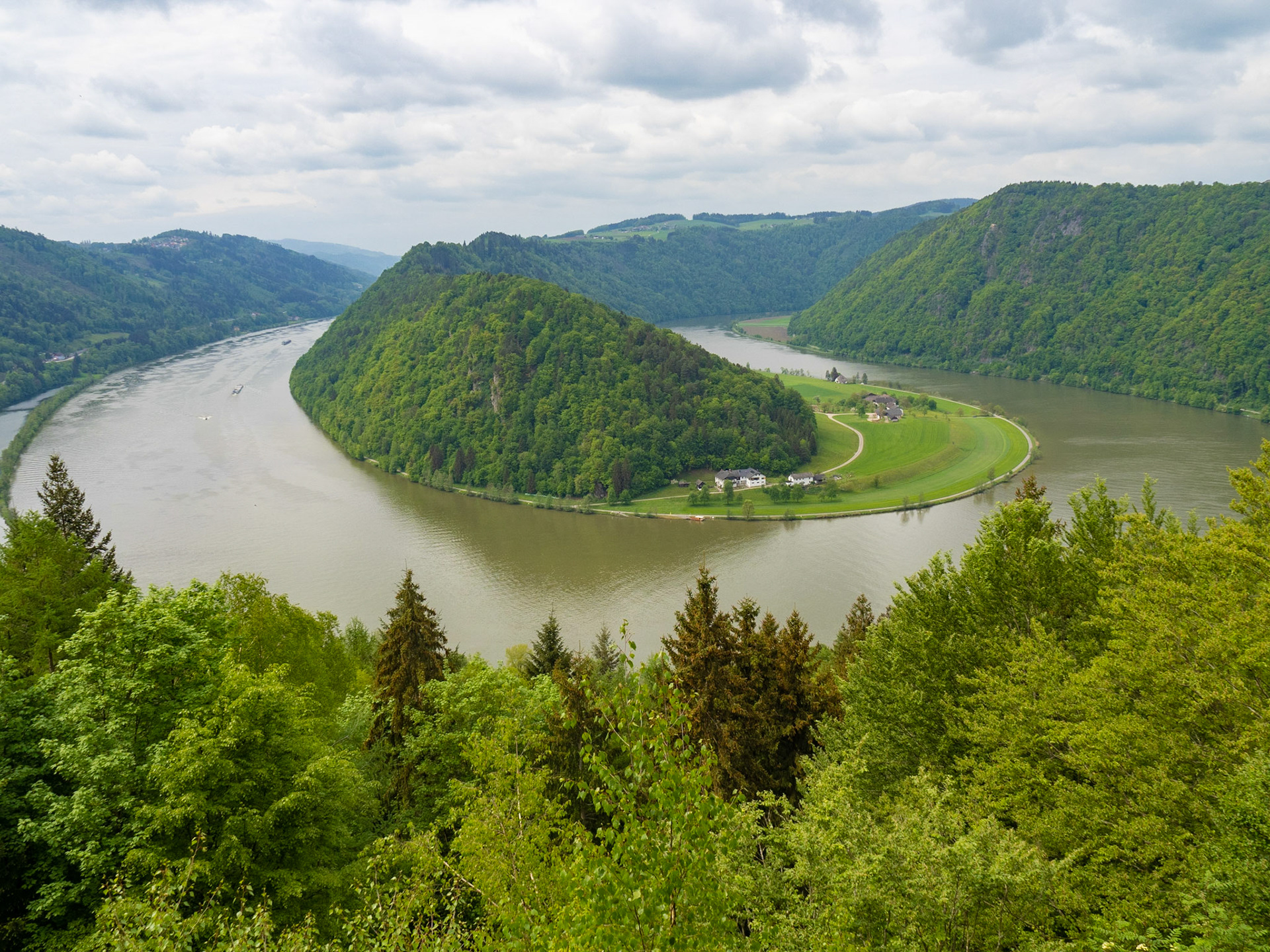 Schlögen Loop from Schlögener Blick