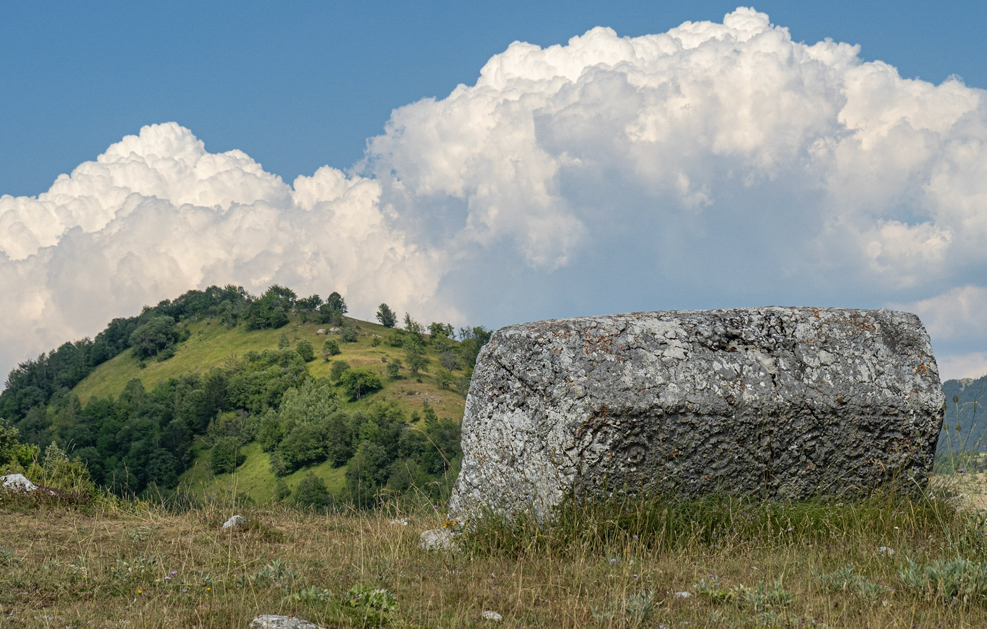Stećak at Dolovi
