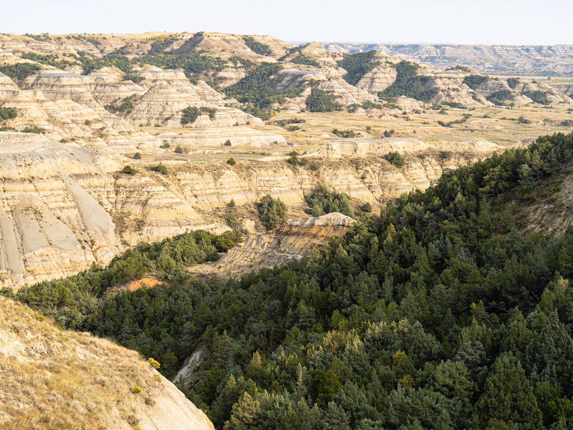 Caprock Coulee Trail, Theodore Roosevelt NP