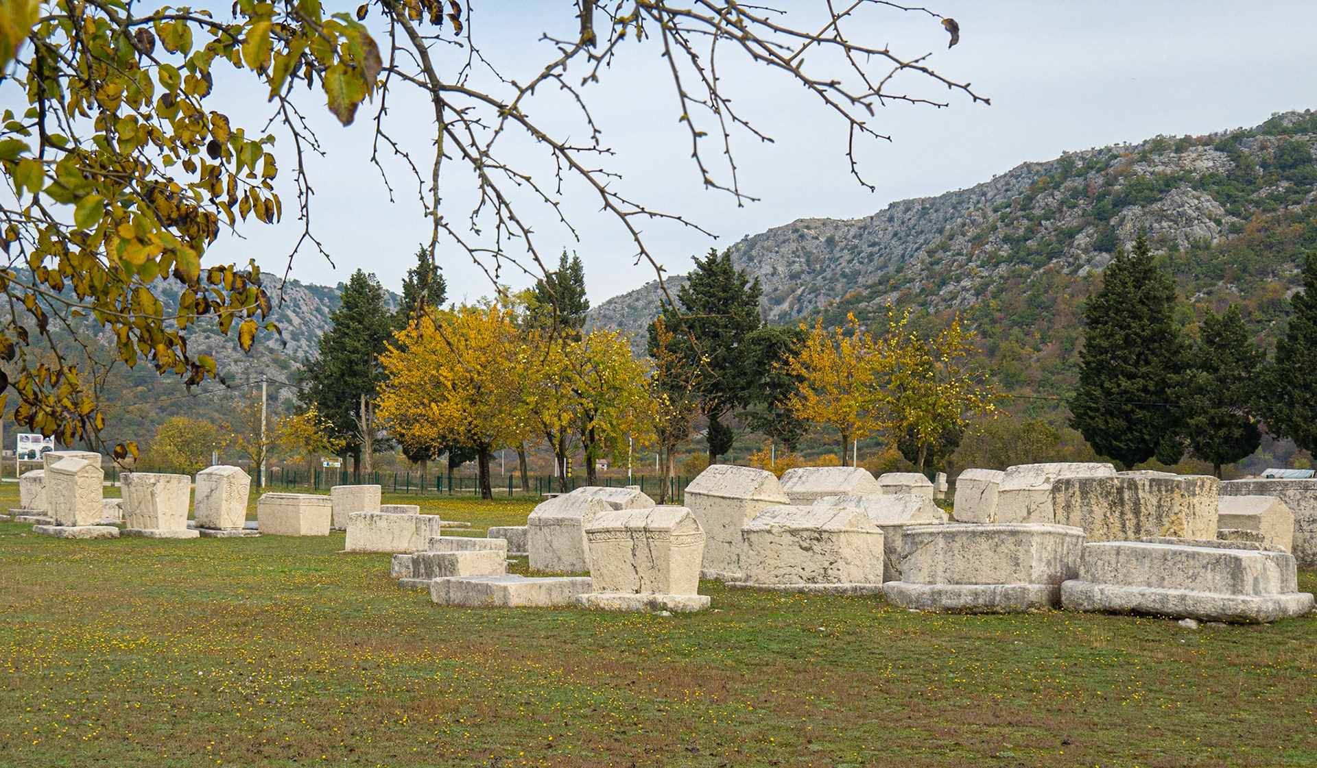 Stećci (medieval Bosnian tombstones), near Stolac