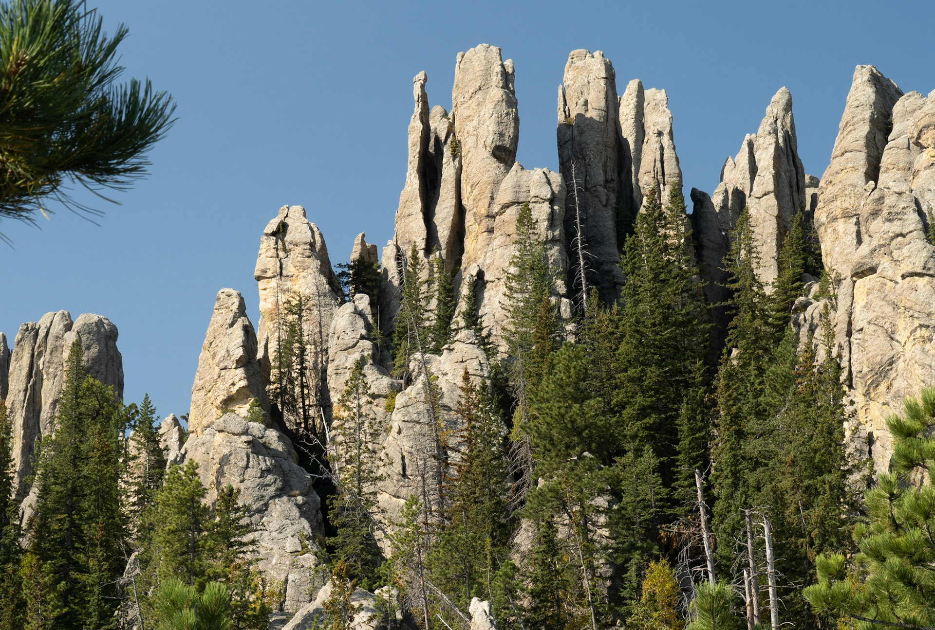 Cathedral Spires