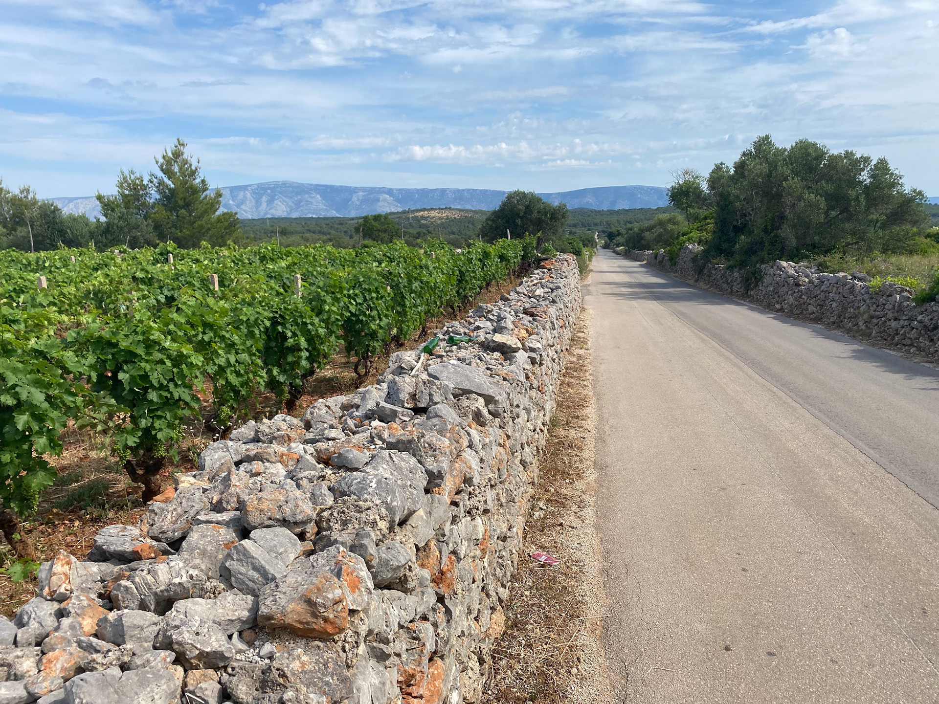 Ancient Walls and Vineyards, Stari Grad PLain, Hvar Island