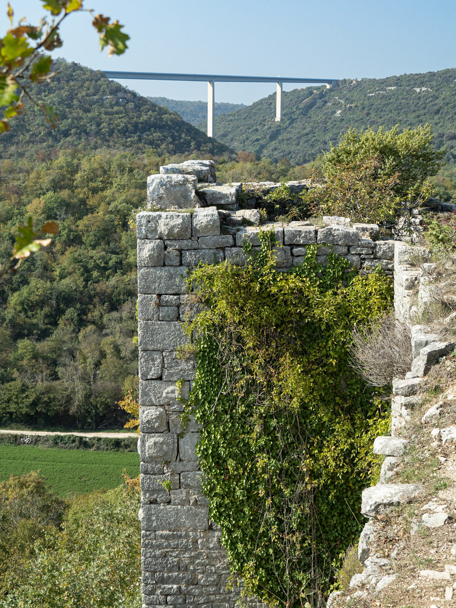Wall, Dvigrad