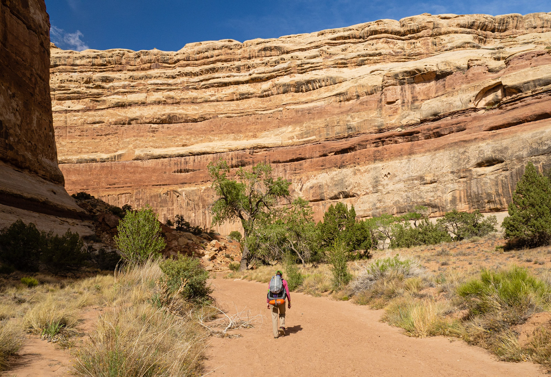 At the bottom of Pictograph Fork